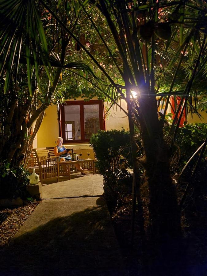 Number15 Guesthouse Каркасон Екстериор снимка